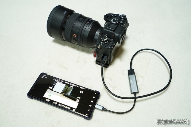 s-watermarked-DSC07542.jpg