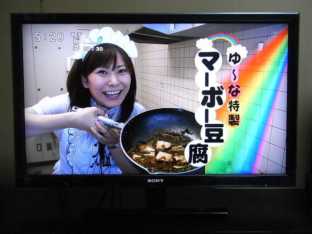 ブラビア SONY ソニー TV KDL-40W5 40インチ 4倍速 2画面同時