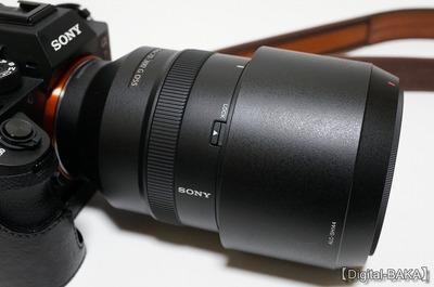 SONY 「FE 70-300mm F4.5-5.6 G OSS」（SEL70300G） レビュー1